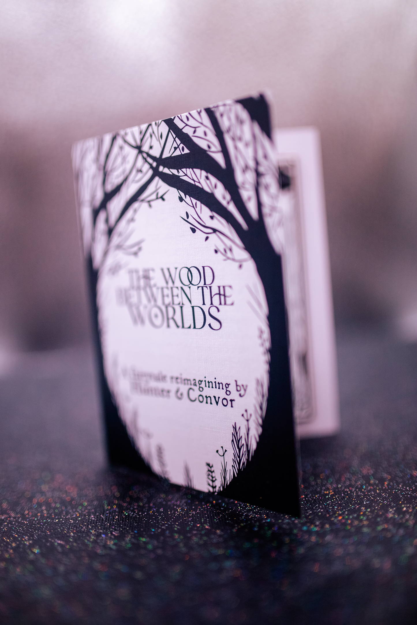 The Wood Between Worlds - Storybook Series